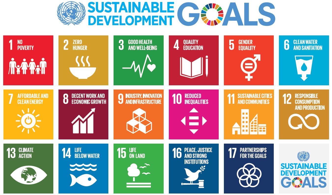 17 SDG'S ONU